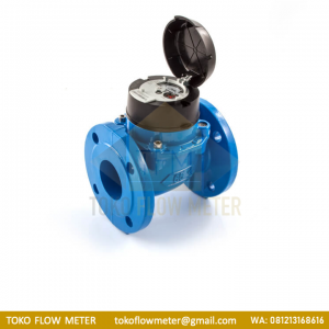 ITRON 2 1/2 INCH – WATER METER ITRON TYPE WOLTEX 65MM-TFM